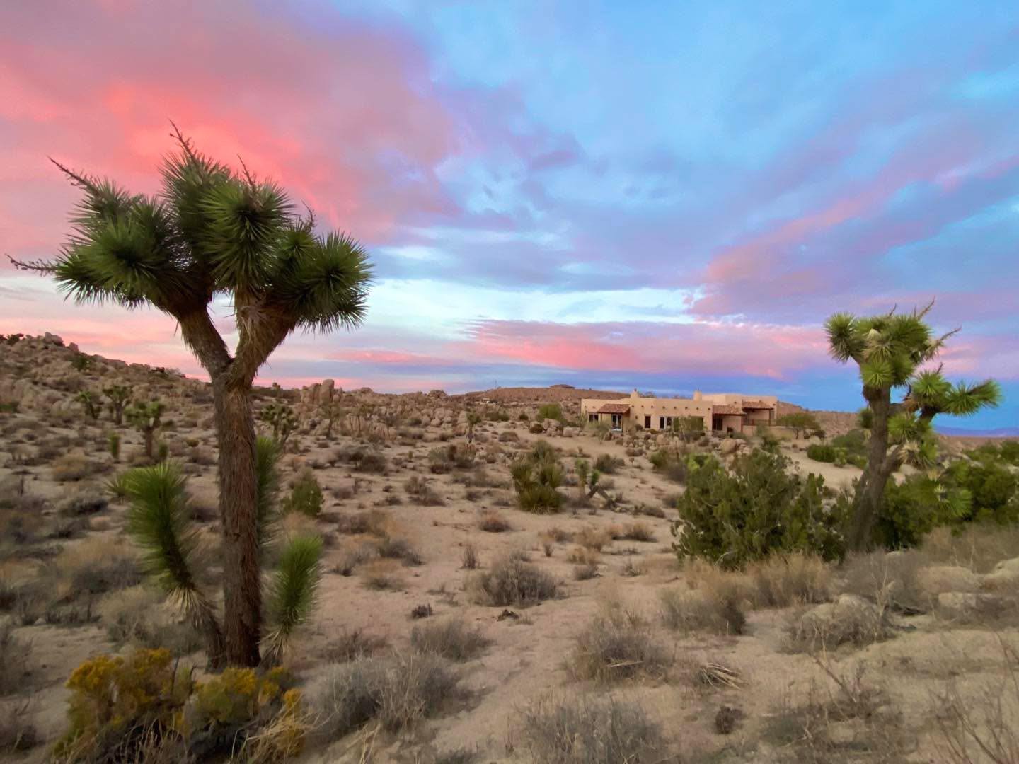 Adobe estate exterior framed by Joshua trees under a pastel desert sunset near Joshua Tree National Park